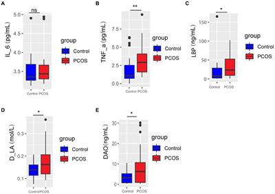 Alterations of Gut Microbiome and Fecal Fatty Acids in Patients With Polycystic Ovary Syndrome in Central China